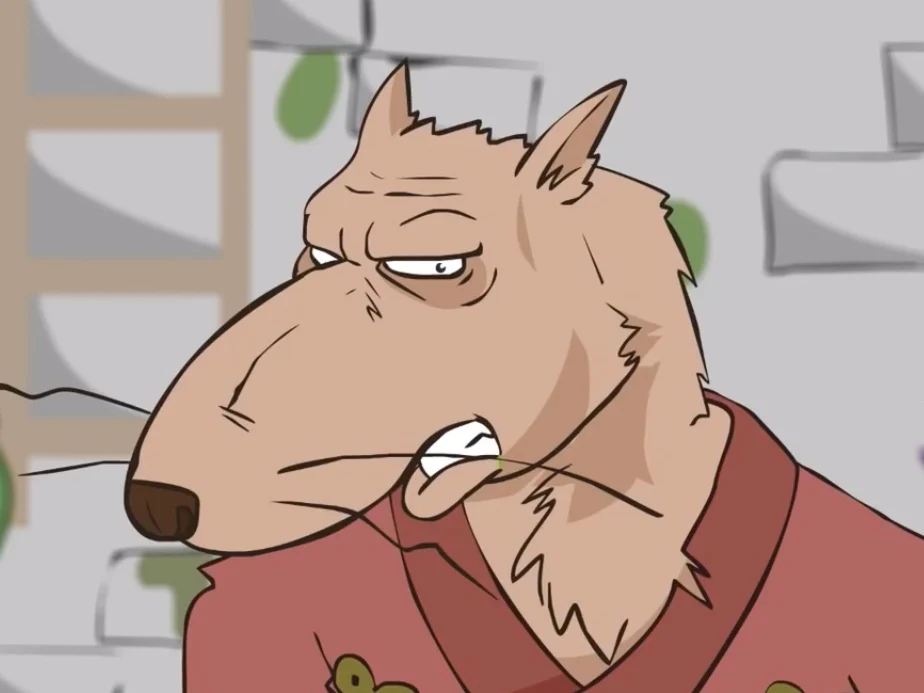 Maste splinter (dashi/ghetto tmnt)