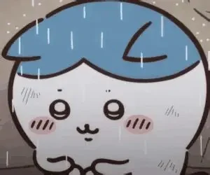 小八