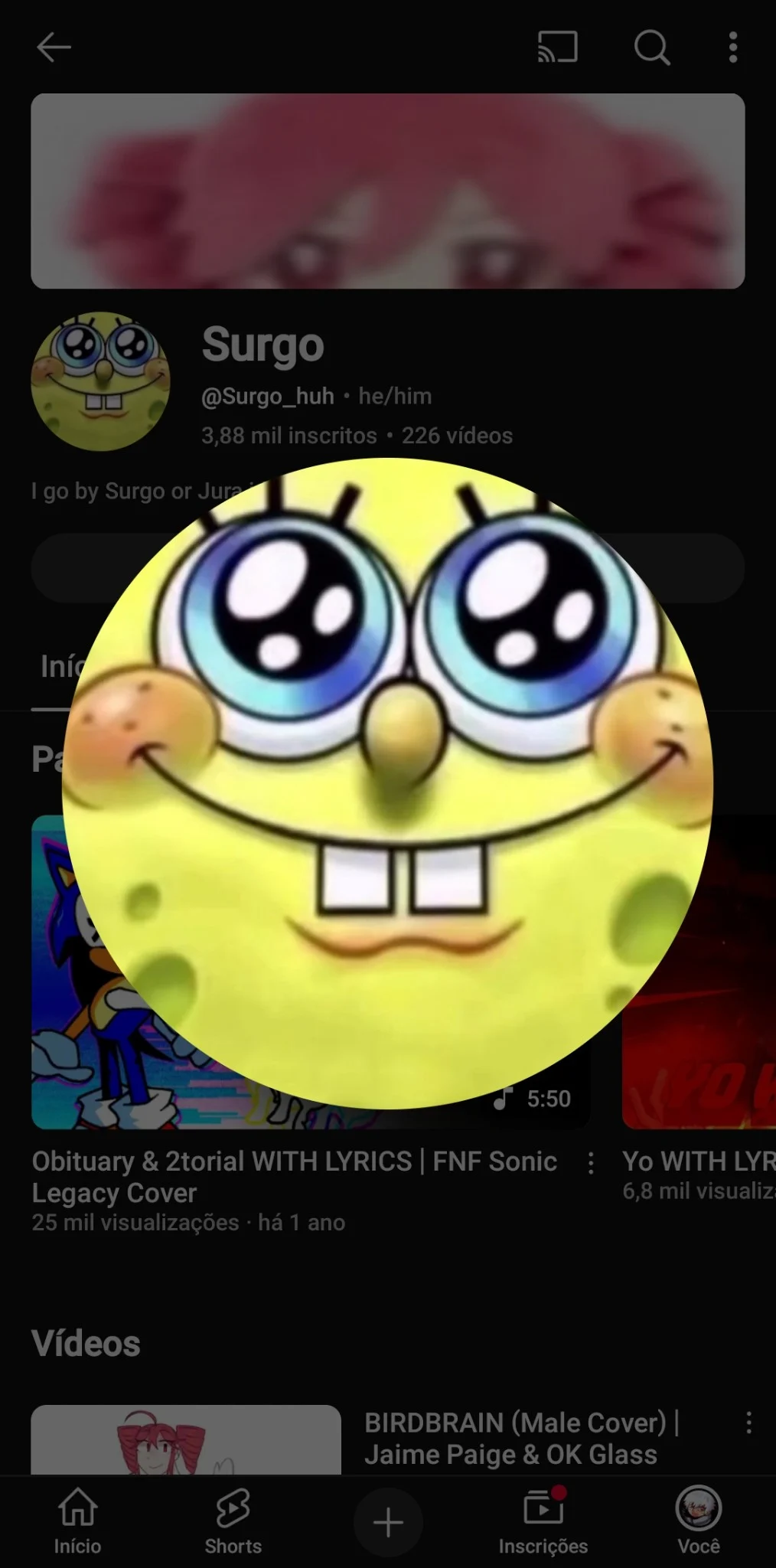 Surgo