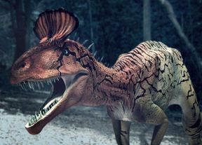 Cryolophosaurus 