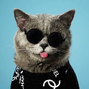 Oscar the Cat (Voice Actor: Adorable Girl)
