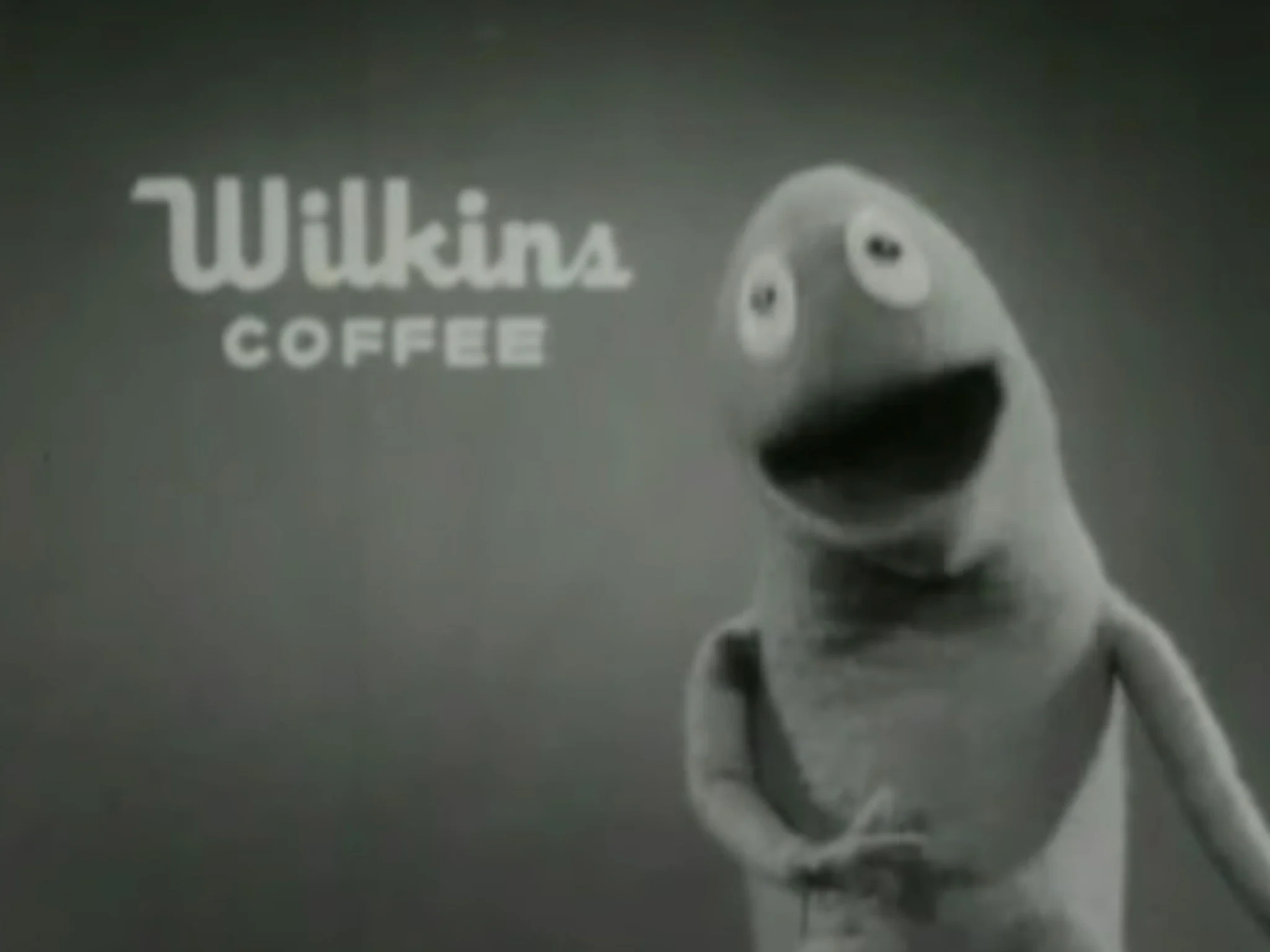 Wilkins Voices RARE 1960/1969