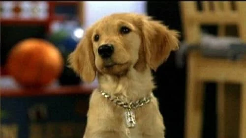 B-Dawg (Air Buddies, 2006) [Skyler Gisondo]