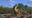 SHIVERMITIMBERS user image