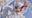 Ibaraki——!! user image