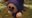 SENMINO user image