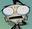 insanebeetle2008 user image