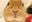 AAAAAH IM RANDOMING MY NAME AAAAAAHHHH user image