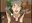 Moki user image