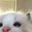 noreason12 user image