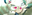 charm user image