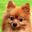 memering user image
