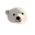 谭科王 user image