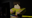apixelitonomo user image