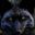 Greyfoxrandom user image