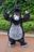 Guilherme Garcia user image