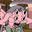 Charlix_pingui user image