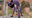 sus sus user image