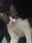 Kittipark user image