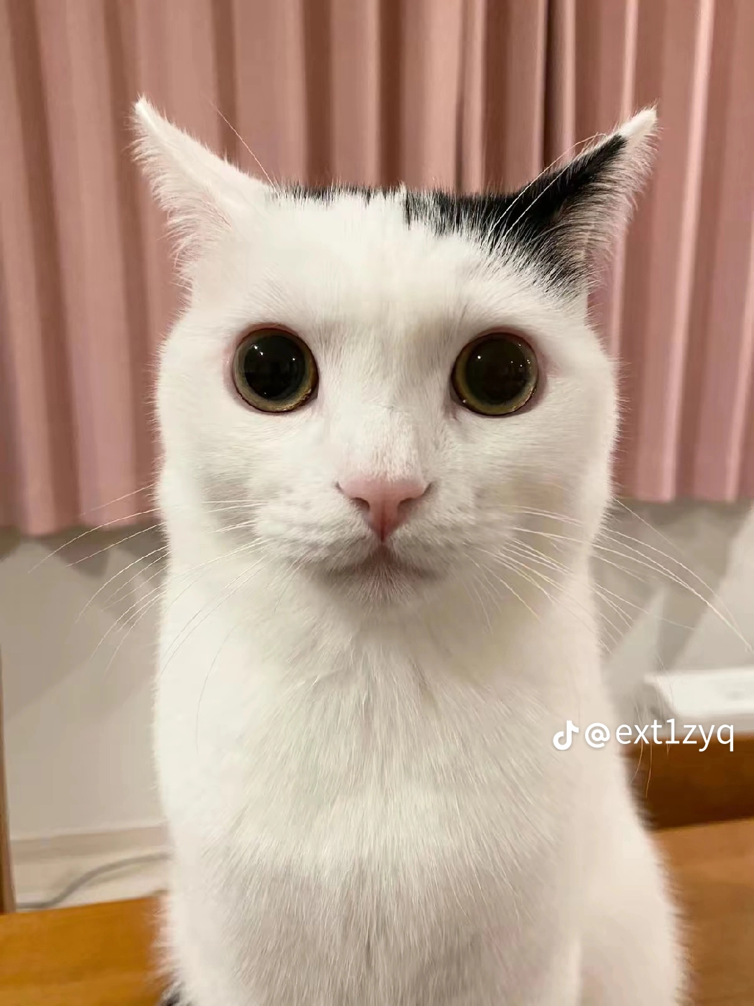 すずきともゆき user image