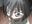 SOIEGHjawok user image