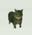 MImouto(๑˃̵ᴗ˂̵) user image