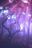 lilac_lavender user image