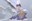 一份希饭 user image