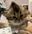 P0isoncatXD user image