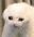 Pluh user image