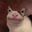 DreamFog3004 user image