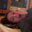 maxbeers user image