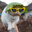 l3afai user image