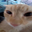 _roxyboy user image