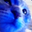 kenan_pro131_41965 user image