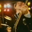 Live Shows And Songs user image