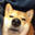 shibètar user image