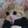 sorkozz user image