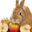 aple user image