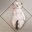 st0sha user image