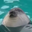 SimplCup user image