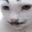 trainboi_ user image