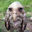 somebodythatisbosnian user image