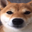 crazyplays. user image