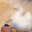 .08646 user image
