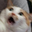 LOKES pubg user image