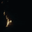 pslucid user image