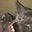 Deb Swope user image