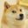 Boss Dog 2018 user image