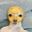 Hunny Hunny user image